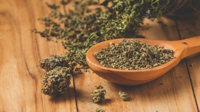 horny goat weed 1.webp