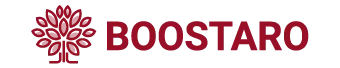 logo black boostaro.webp