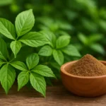 newimgi 16 gynostemma.webp