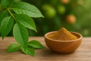 newimgi 17 banaba leaf extract.webp