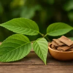 newimgi 19 slippery elm bark.webp