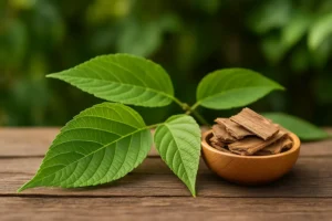 newimgi 19 slippery elm bark.webp