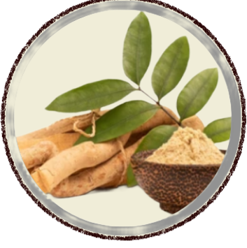 projeto remover fundo (1)