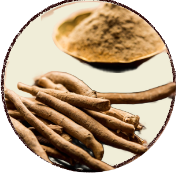 projeto remover fundo (2)