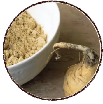 projeto remover fundo (5)