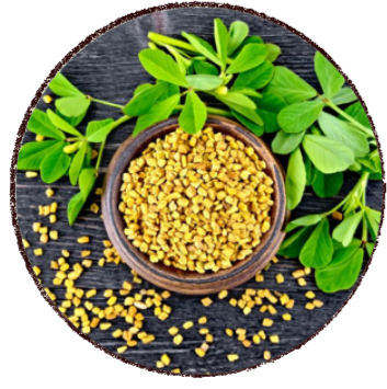 projeto remover fundo (6)