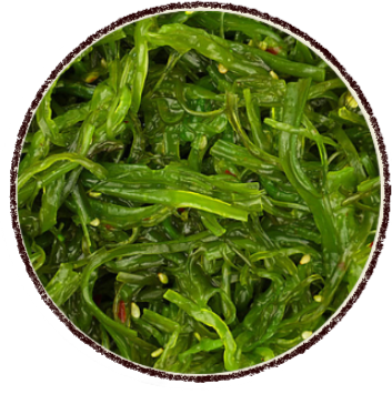 projeto remover fundo (8)