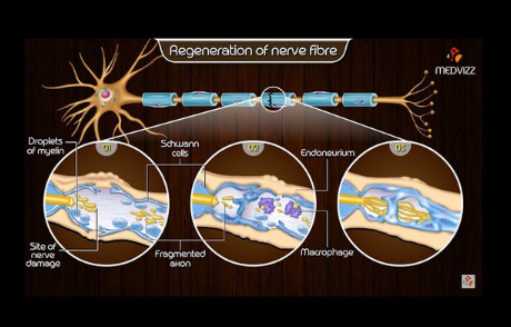 captura de tela 2025 12 28 185559.png
