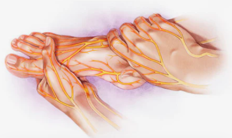 captura de tela 2025 12 28 192648.png